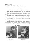 Kỹ thuật tạo thuận cảm thụ bản thể thần kinh - cơ part 6 ppsx