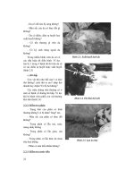 Giáo trình chẩn đoán và nội khoa thú y part 1 pptx