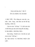 Giáo án thể dục lớp 3 - Bài 23 ÔN CÁC ĐỘNG TÁC ĐÃ HỌC pps