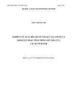 Nghiên cứu acyl hóa rutin với xúc tác lipase và khảo sát hoạt tính chống oxy hóa của các rutin ester
