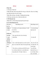 Giáo án Luyện từ và dấu câu lớp 3: Đề bài: NHÂN HOÁ pdf