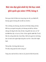 Bài văn đạt giải nhất kỳ thi học sinh giỏi quốc gia năm 1998, bảng A_2 pps