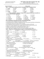 ĐỀ THI HỌC SINH GIỎI NĂM HỌC 2010 - 2011 Môn thi: TIẾNG ANH – KHỐI 12 docx