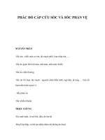 PHÁC ĐỒ CẤP CỨU SỐC VÀ SỐC PHẢN VỆ ppt