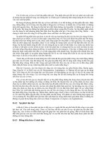 Giáo trình thực vật có hoa part 8 pot