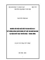 Nghiên cứu hiệu quả điều trị ban đầu đa u tuỷ xương bằng bortezomib kết hợp dexamethasone tại viện huyết học truyền máu trung ương