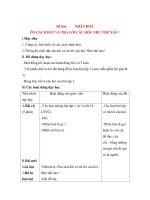 Giáo án Luyện từ và dấu câu lớp 3: Đề bài: NHÂN HOÁ ÔN CÁCH ĐẶT VÀ TRẢ LỜI CÂU HỎI: NHƯ THẾ NÀO ? docx