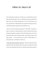 VIÊM CẦU THẬN CẤP pdf