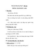 Giáo án khoa học lớp 5 - Bài dạy: PHÒNG TRÁNH HIV/ AIDS pot
