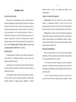 tóm tắt tiếng anh hoàn thiện phân tích hiệu quả kinh doanh trong các doanh nghiệp chế biến gỗ xuất khẩu khu vực nam trung bộ