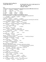 ĐỀ THI KIỂM TRA CHẤT LƯỢNG HỌC KỲ II Môn : Tiếng Anh ( Ban C) pptx