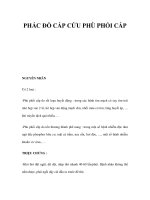 PHÁC ĐỒ CẤP CỨU PHÙ PHỔI CẤP ppt