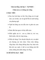 Giáo án tiếng việt lớp 2 - TẬP ĐỌC: Chim sơn ca và bông cúc trắng pdf