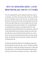 NỀN VĂN MINH SÔNG HỒNG - CƠ SỞ HÌNH THÀNH, ĐẶC TRƯNG VÀ Ý NGHĨA_2 pot