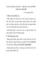 Giáo án tiếng việt lớp 5 - Tập làm văn: LUYỆN TẬP TẢ NGƯỜI ( Tả ngoại hình) pot
