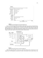 Sinh học đại cương part 7 pps