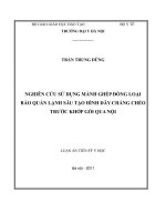 Nghiên cứu sử dụng mảnh ghép đồng loại bảo quản lạnh sâu tạo hình dây chằng chéo trước khớp gối qua nội soi