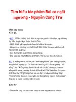 Tìm hiểu tác phẩm Bài ca ngất ngưởng - Nguyễn Công Trứ pdf