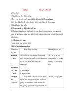 Giáo án Tập đọc lớp 3: Đề bài: LỪA VÀ NGỰA docx