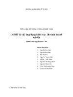 tiểu luận hệ thống thông tin kế toán cobit & các ứng dụng kiểm soát cho một doanh nghiệp