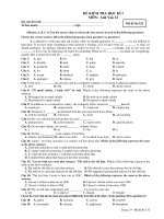 ĐỀ KIỂM TRA HỌC KÌ 1 MÔN: Anh Van 12 pot