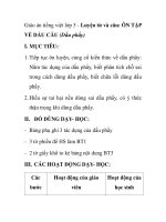 Giáo án tiếng việt lớp 5 - Luyện từ và câu: ÔN TẬP VỀ DẤU CÂU (Dấu phẩy) pot