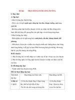 Giáo án Tập đọc lớp 3: Đề bài: TRẬN BÓNG DƯỚI LÒNG ĐƯỜNG. pdf