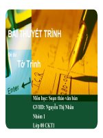 Thuyết trình tờ trình