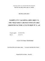 Nghiên cứu tạo dòng, biểu hiện và thu nhận hIGF 1 (human insulin like growth factor 1) từ escherichia coli