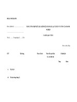 MẪU BẢNG TỔNG HỢP KẾT QUẢ KIỂM KÊ, ĐÁNH GIÁ LẠI TÀI SẢN VÀ VỐN CỦA DOANH NGHIỆP pps