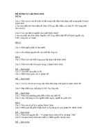 Đề thi Học kỳ Luật Hành chính Đề 38 ppsx