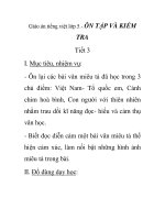 Giáo án tiếng việt lớp 5 - ÔN TẬP VÀ KIỂM TRA Tiết 3 potx