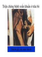 Thú y cơ bản : Các bệnh truyền nhiễm part 9 potx