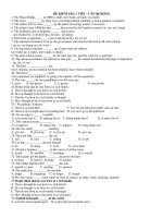 ĐỀ KIỂM TRA 1 TIẾT - CÂU BỊ ĐỘNG docx