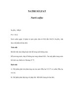 NATRI SULFAT docx