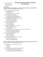 Đề đề nghị Học sinh giỏi ĐBSCL 2010-2011 Môn: tiếng Anh - Trường THPT chuyên Nguyễn Bỉnh Khiêm pot