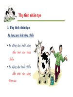 Một số vấn đề về quản lý sinh sản ở bò sữa part 7 potx