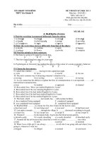 ĐỀ THI BÁN KỲ HỌC KY I Năm học : 2010-2011 Môn: Anh văn 12 ppt