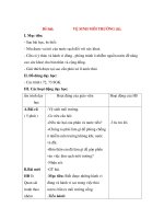 Giáo án Tự nhiên xã hội lớp 3: Đề bài: VỆ SINH MÔI TRƯỜNG (tt) pptx