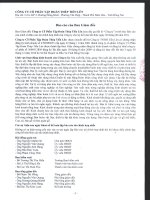 Công ty cổ phần tập đoàn thép tiến lên báo cáo của ban giám đốc báo cáo tài chính hợp nhất cho kỳ kế toán ngày 30 tháng 6 năm 2011