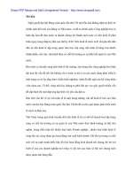 Lợi ích kinh tế và các hình thức phân phối thu nhập ở Việt Nam trong thời kì quá độ - 1 pot