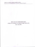 Công ty cổ phần tập đoàn thép tiến lên báo cáo tài chính hợp nhất quý 4 năm 2011