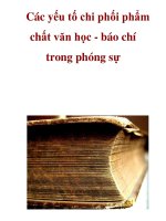Các yếu tố chi phối phẩm chất văn học - báo chí trong phóng sự _2 pot