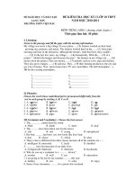 ĐỀ KIỂM TRA HỌC KỲ I LỚP 10 THPT NĂM HỌC 2010-2011 MÔN TIẾNG ANH ppt