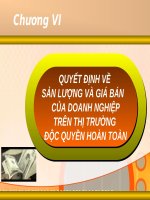 CHƯƠNG VI - QUYẾT ĐỊNH VỀ SẢN LƯỢNG VÀ GIÁ BÁN CỦA DOANH NGHIỆP TRÊN THỊ TRƯỜNG ĐỘC QUYỀN HOÀN TOÀN pdf