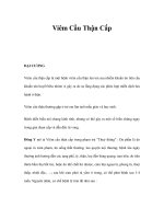 Viêm Cầu Thận Cấp pot