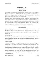 Bài giảng Thú y cơ bản : BỆNH TRUYỀN NHIỄM (Bệnh truyền lây) part 9 pptx