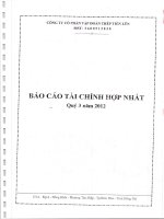 Công ty cổ phần tập đoàn thép tiến lên báo cáo tài chính hợp nhất quý 3 năm 2012