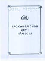 công ty phát triển nhà thủ đức báo cáo tài chính quý 1 năm 2013