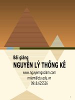 bài giảng nguyễn lý thống kê nguyễn ngọc lâm